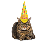 Birthday Inflatable Cat / Dog Party Costume Hat - SO FUNNY! ~  Archie McPhee