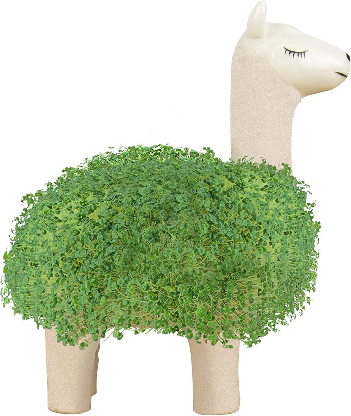 Llama Ceramic Planter - Desktop Sprouting Chia Pet Plant Pot - Gift Republic