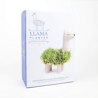 Llama Ceramic Planter - Desktop Sprouting Chia Pet Plant Pot - Gift Republic