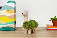 Llama Ceramic Planter - Desktop Sprouting Chia Pet Plant Pot - Gift Republic