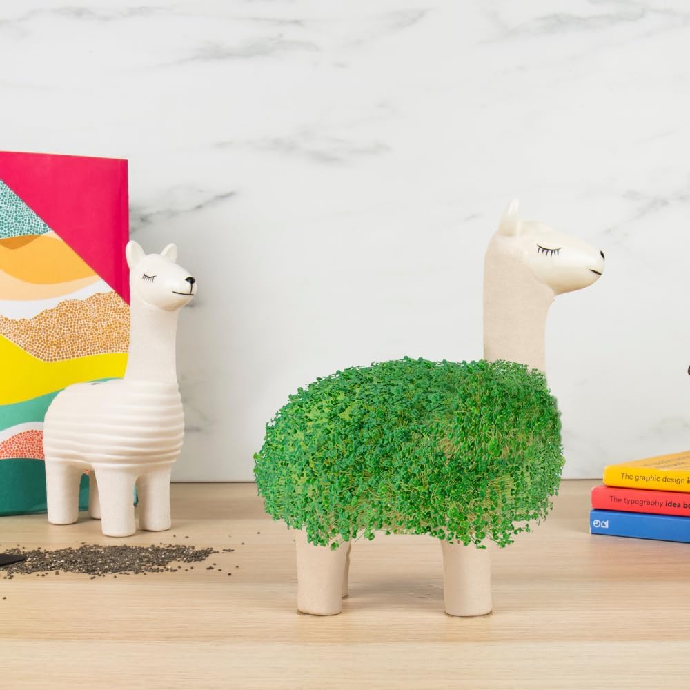 Llama Ceramic Planter - Desktop Sprouting Chia Pet Plant Pot - Gift Republic