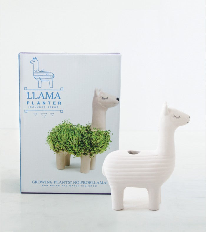 Llama Ceramic Planter - Desktop Sprouting Chia Pet Plant Pot - Gift Republic