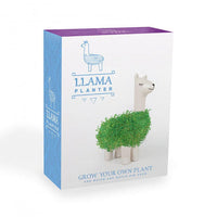 Llama Ceramic Planter - Desktop Sprouting Chia Pet Plant Pot - Gift Republic