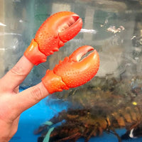 Finger Lobster Claws (Set of 2) Funny Hand Puppet Play Toys - Archie McPhee