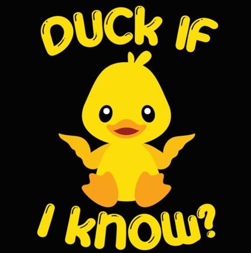 DUCK IF I KNOW? Ducky Fridge Magnet Kitchen Home Decor - 3" x 3" Made in USA