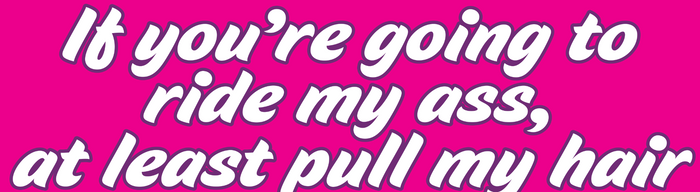 "Ride My Ass Pull My Hair" Prank Gag Magnetic Bumper Car Magnet Sign - USA Made