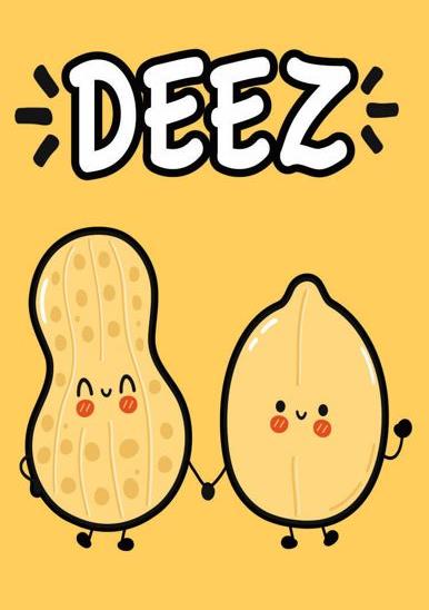 DEEZ NUTS Funny Fridge Magnet Kitchen Home Decor - 3.5" x 2.5" Made in USA