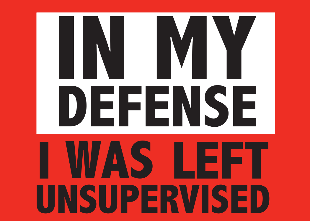 IN MY DEFENCE Funny Fridge Magnet Kitchen Home Decor - 3.5" x 2.5" Made in USA