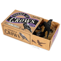 Murder of Crows Figures Set of 4 - Horror Craft Decorations - Archie McPhee