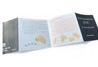 ✨ The Penetrating Coins Effect – Classic Brass Magic Trick That Defies Logic! ✨