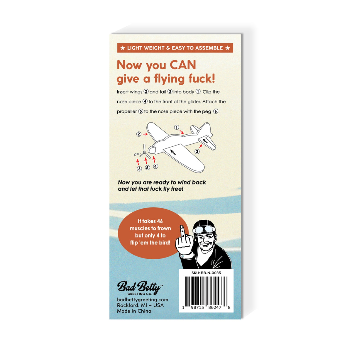 Back of a ✈️🤣 FLYING FU%K Mini Plane Glider package: features assembly steps, a funny foam plane illustration, and a thumbs-up cartoon—making it the perfect adult gag gift!.
