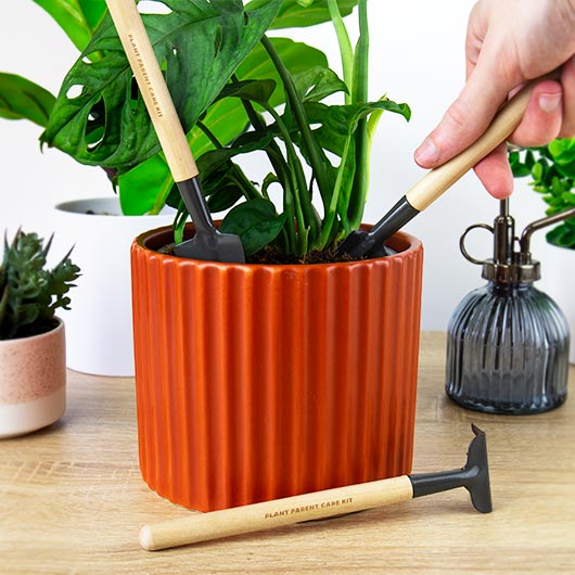 house plant tool kit Plant Parent Care Kit