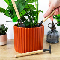 Plant Parent Care Kit - Houseplant Mini Garden Tool Set Shovel-Fork-Trowel Set