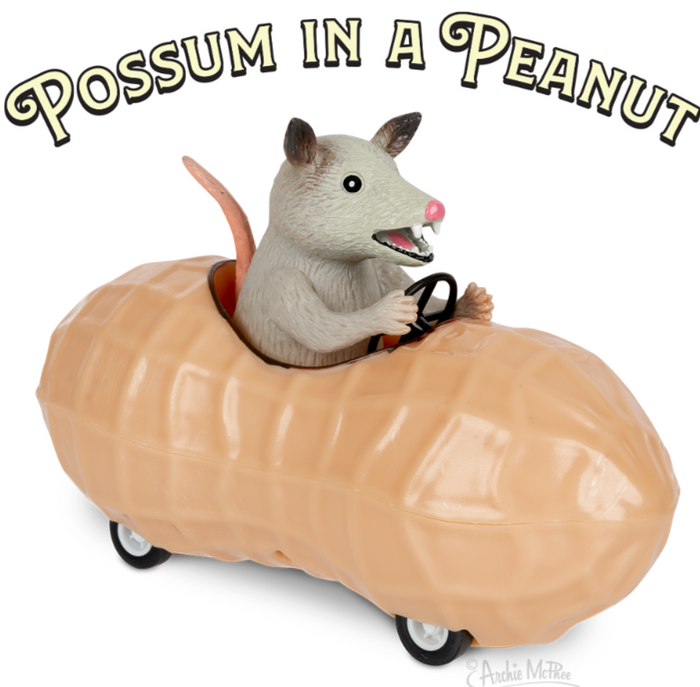 Possum in a Peanut - Cute Pullback Racing Car Child Toy - Archie McPhee