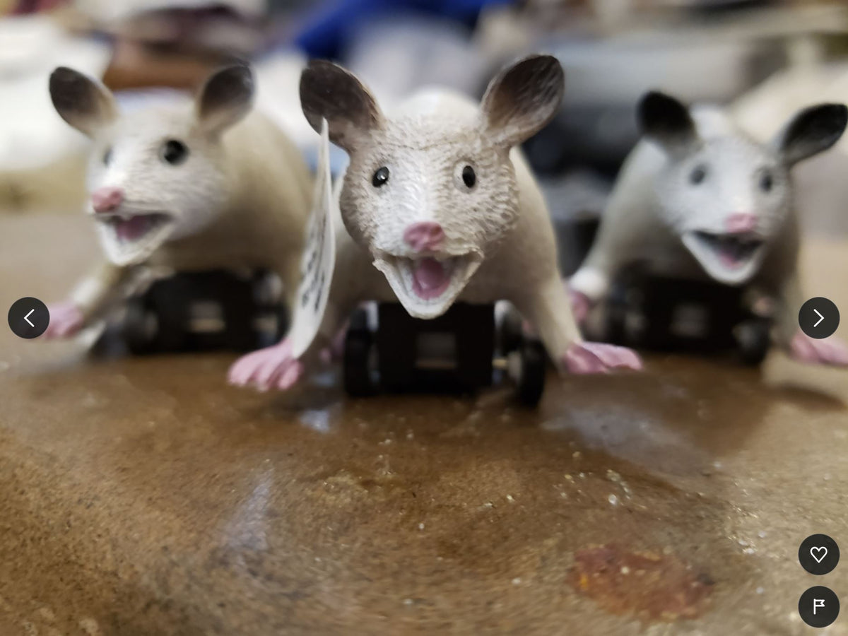 Racing Possums (set of 3) Funny Pull Back Rodent Race Toys - Archie McPhee