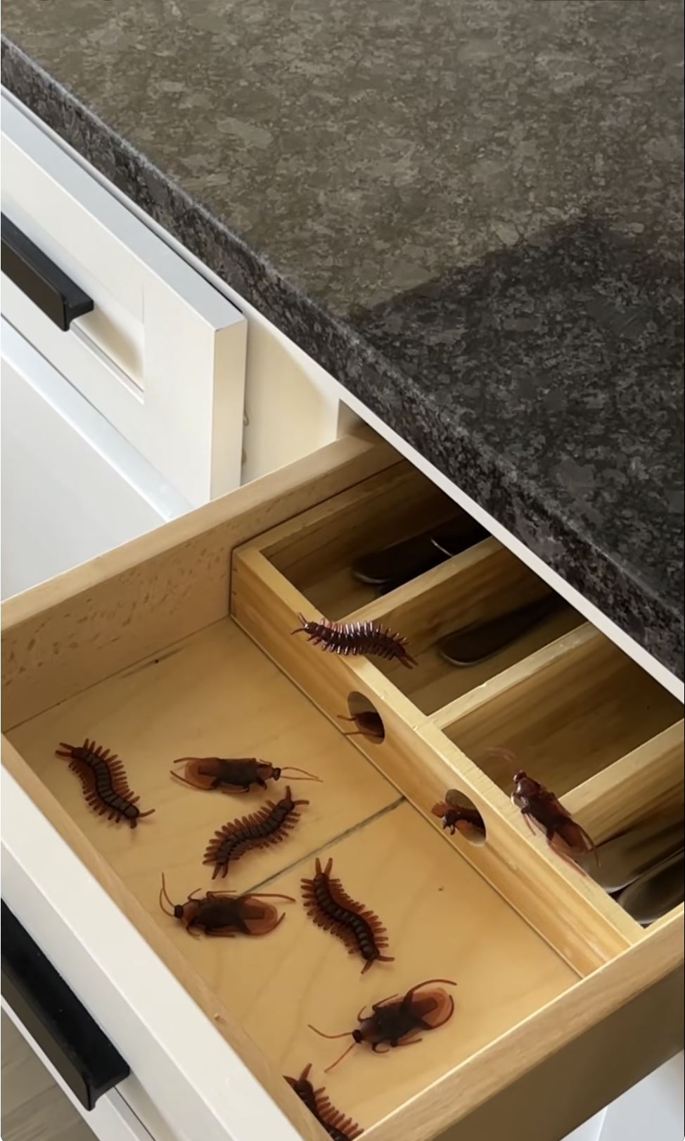 16 PK Realistic Fake Cockroaches Centipedes Prank Bugs Insects Rubber Halloween