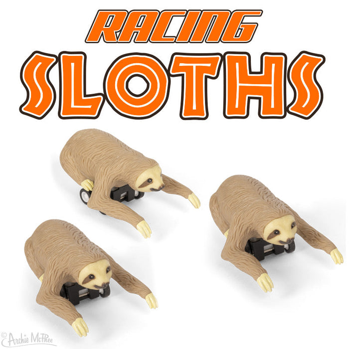 Racing Sloths (set of 3) Funny Pull Back Race Animal Toys - Archie McPhee