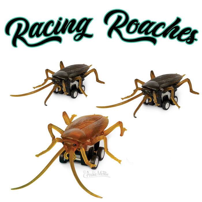 Racing Roaches (set of 3) Funny Pull Back Race Bug Insect Toys - Archie McPhee