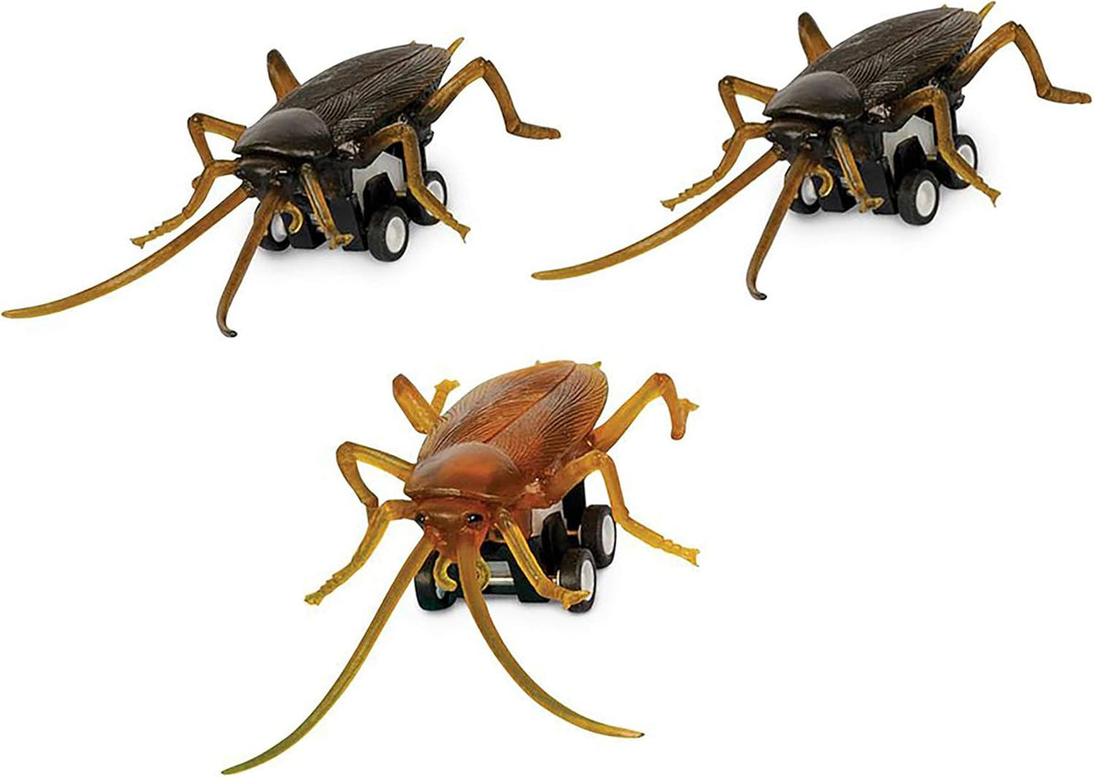 Racing Roaches (set of 3) Funny Pull Back Race Bug Insect Toys - Archie McPhee