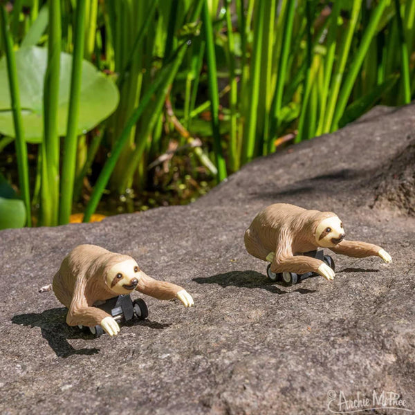 Racing Sloths (set of 3) Funny Pull Back Race Animal Toys - Archie McPhee