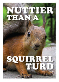 Metal Tin Sign "Nuttier Than A Squirrel Turd" Funny Office Wall Decor #E-101